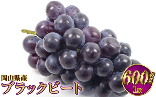 岡山県産 ブラックビート 約600g（1房）【2025年8月上旬～9月上旬発送予定】 ぶどう ブドウ 葡萄