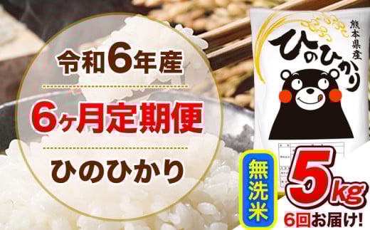 令和6年産 【6ヵ月定期便】 無洗米 ひのひかり 定期便 5kg 5kg×1袋《お申込み翌月から出荷開始》 熊本県産 精米 ひの 米 こめ ヒノヒカリ コメ お米  1582154 - 熊本県津奈木町