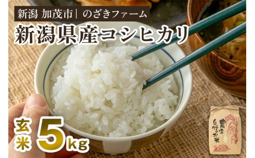 新潟県産コシヒカリ 玄米5kg（5kg×1袋）（従来品種） 《9月下旬から順次出荷》 新潟米 お米 こめ コメ ライス ご飯 加茂市 のざきファーム