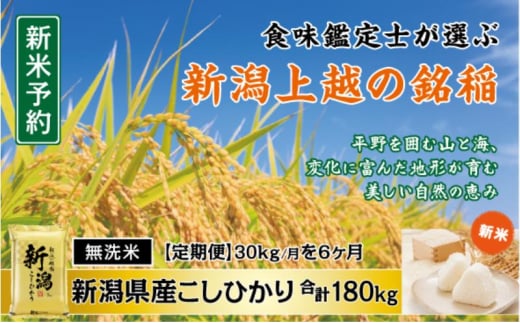 令和7年産 先行予約 食味鑑定士厳選 新潟県産こしひかり 無洗米 30kg 6か月定期便 上越市 米 コメ コシヒカリ
