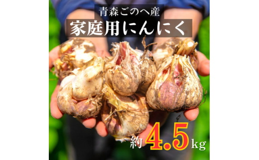 青森ごのへ町産にんにく　家庭用土付き　Lサイズ以上　約4.5kg【1599842】