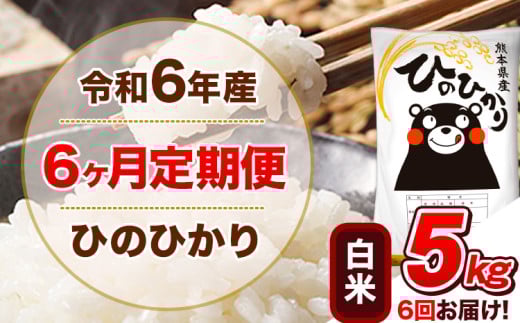 令和6年産 【6ヵ月定期便】 白米 ひのひかり 定期便 5kg 5kg×1袋《お申込み翌月から出荷開始》 熊本県産 精米 ひの 米 こめ ヒノヒカリ コメ お米 1582155 - 熊本県津奈木町