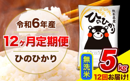 令和6年産 ひのひかり 【12ヶ月定期便】 無洗米  5kg (5kg×1袋) 計12回お届け 《お申し込み月の翌月から出荷開始》 熊本県産 無洗米 精米 ひの 米 こめ お米 熊本県 長洲町