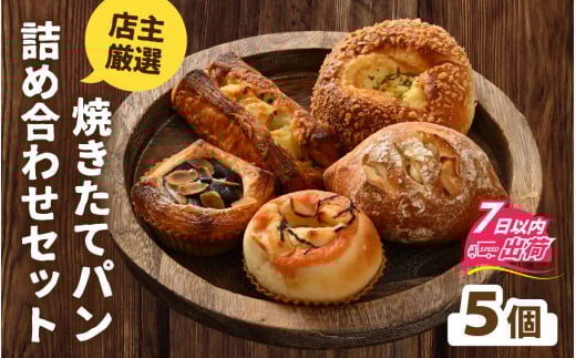 店主厳選！人気の焼きたてパンを詰め合わせた特別セット【5個】[A-132001] / パン ぱん セット 詰合せ 焼きたて ベーカリー 惣菜 菓子 あんこ 食パン 定番 バケット あん食パン 餡子 アンコ 詰め合わせ 菓子パン 惣菜パン あんぱん 2133662 - 福井県福井市