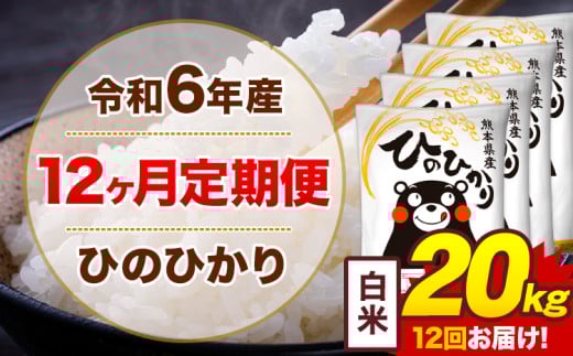 【12ヶ月定期便】令和6年産 白米 20kg 米 ひのひかり《お申込み月の翌月から出荷開始》熊本県 菊池市 国産 熊本県産 白米 精米 無洗米 送料無料 ヒノヒカリ こめ お米 