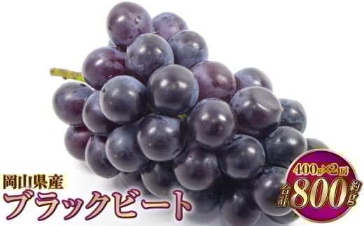 岡山県産 ブラックビート 約800g（約400g×2房）【2025年8月上旬～9月上旬発送予定】 ぶどう ブドウ 葡萄