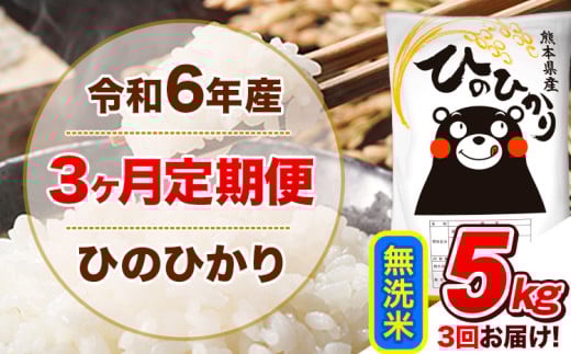 令和6年産 【3ヵ月定期便】 無洗米 ひのひかり 定期便 5kg 5kg×1袋《お申込み翌月から出荷開始》 熊本県産 精米 ひの 米 こめ ヒノヒカリ コメ お米  1582153 - 熊本県津奈木町