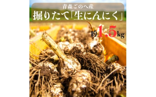 幻の旬!青森ごのへ町産　掘りたて土付き「生」にんにく　Lサイズ以上　約1.5kg【1599840】
