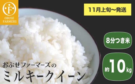 ミルキークイーン 8分つき米 約10kg ［ おぶせファーマーズ ］ お米 コメ おこめ ご飯 精米 長野県産 【2025年11月上旬～発送】 [FK-28]
