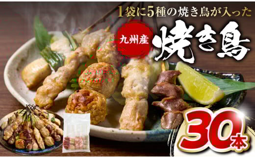 やきとり5種 30本セット お試しサイズ! 焼き鳥 焼鳥 国産 鶏 鶏肉 とり肉 串 九州産 冷凍 小分け ねぎま むね とろ もも 砂肝 つくね BBQ パーティー おつまみ セット バラエティーパック