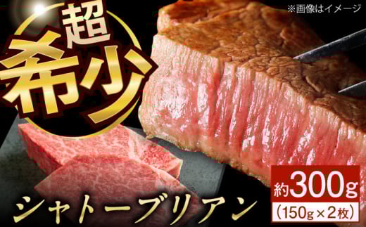 [極上の赤身肉]シャトーブリアン ステーキ 長崎和牛 計300g (150g×2枚)[肉のマルシン] 