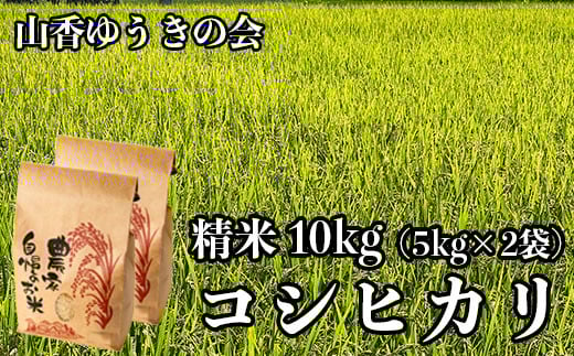 【 令和7年産 新米 先行予約 】山香ゆうきの会の米 10kg（精米：コシヒカリ） 新米 10kg 米 先行予約 先行受付 ＜002-014＞