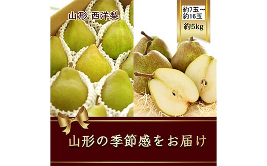 【2025年発送先行予約】西洋梨 約7玉～約16玉 約5kg《品種指定はできません》  なし ナシ 梨 デザート フルーツ 果物 くだもの 果実 食品 山形県 FSY-1082