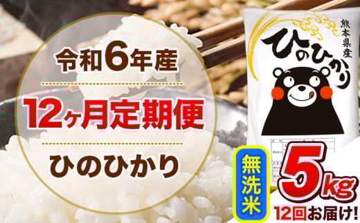 令和6年産 【12ヵ月定期便】 無洗米 ひのひかり 定期便 5kg 5kg×1袋《お申込み翌月から出荷開始》 熊本県産 精米 ひの 米 こめ ヒノヒカリ コメ お米 1582156 - 熊本県津奈木町