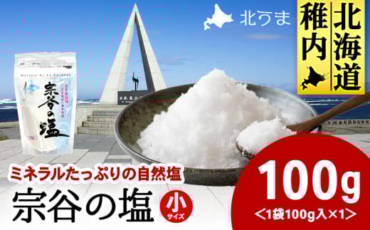 稚内ブランド認定品 宗谷の塩100g×1袋