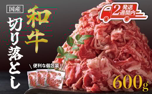【2週間以内発送】国産和牛切り落とし600g 2133525 - 鹿児島県大崎町
