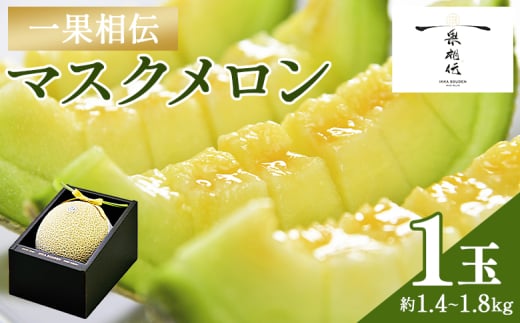 メロン 青肉 【14日程度で発送】 高級 先行予約 青肉 高知 1玉 一果相伝マスクメロン 先行予約 フルーツ メロン 果物 デザート - めろん 果物 くだもの フルーツ 贈答用 贈答品 贈り物 ギフト お祝い 御祝い 感謝 産地直送 新鮮 篤農 高級 贅沢 ぜいたく ご褒美 1万円以上 10000円以上 デザート 特別 プレゼント tn-0010 432782 - 高知県香南市