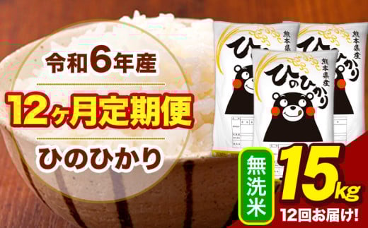 令和6年産 【12ヶ月定期便】 無洗米 米 ひのひかり 15kg《お申し込み月の翌月から出荷開始》熊本県 大津町 国産 熊本県産 無洗米 送料無料 ヒノヒカリ こめ お米 1582700 - 熊本県大津町