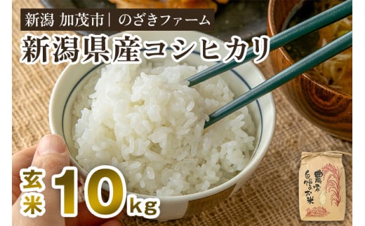 新潟県産コシヒカリ 玄米10kg（10kg×1袋）（従来品種） 《9月下旬から順次出荷》 新潟米 お米 こめ コメ ライス ご飯 加茂市 のざきファーム