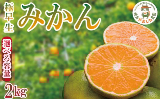 【2025年9月順次発送】 極早生みかん2kg  みかん 温州みかん 完熟 柑橘 果物 フルーツ 国産 新鮮 【北海道、東北、離島、沖縄配送不可】