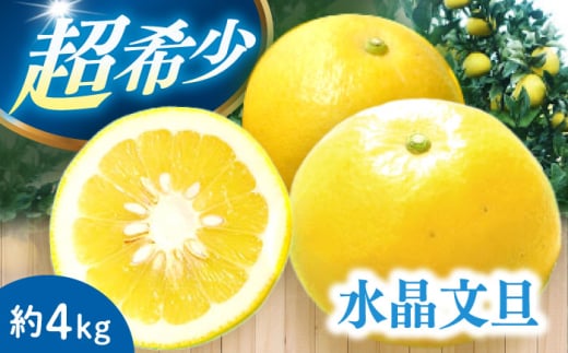 [ご家庭用] 水晶文旦 約4kg(8-14玉) 長与町/果豊園 
