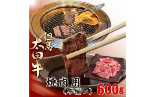 訳あり 但馬 太田牛 焼肉用(切り落とし) 600g OY1【1551652】 1502582 - 兵庫県養父市