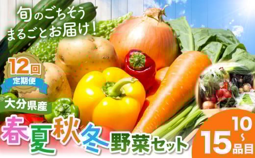 【定期便12回】【JA直売所直送】春夏秋冬野菜セット | 毎月届く 旬野菜 野菜 やさい ヤサイ 旬 セット 国産 国産野菜 定期 定期便 12回 大分県 中津市