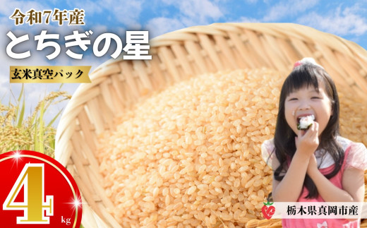 【先行予約】いちご農家さん応援米！令和7年度新米 玄米真空パック 約2kg × 2回 4kg とちぎの星 | 新米 真岡市産 真空 パック 米  お米 こめ 玄米 ご飯 ごはん もちもち  限定 ふるさと納税 先行 予約 栃木県 真岡市 送料無料 