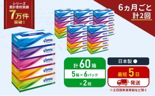 定期便 ティッシュ クリネックス ティシュー 5箱入×6パック《6ヶ月ごと計2回》 ティッシュペーパー セット 柔らかい 節約 日用品 日用雑貨 備蓄 備蓄品 備蓄用 防災 災害 ボックスティッシュ テッシュ ペーパー 宮城 岩沼市 [№5704-1038] 2134242 - 宮城県岩沼市
