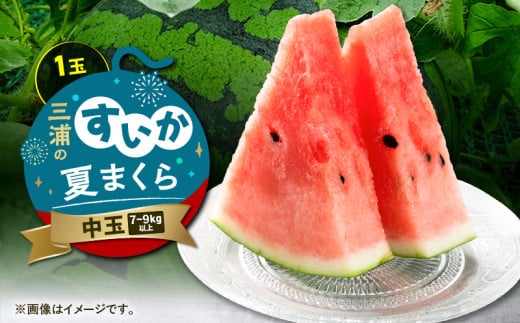 三浦のスイカ「夏まくら」(中玉) M080-005-02