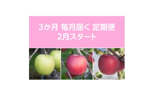 <発送月固定定期便>〈2026年2月より順次発送〉甘味系・青森りんご約5kg 全3回【4051698】 1449601 - 青森県黒石市