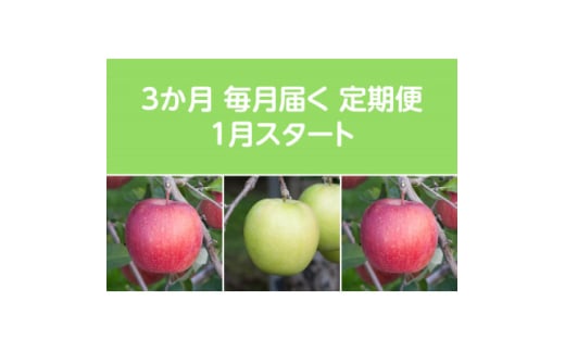<発送月固定定期便>〈2026年1月より順次発送〉甘味系・青森りんご約5kg 全3回【4051697】 1449600 - 青森県黒石市