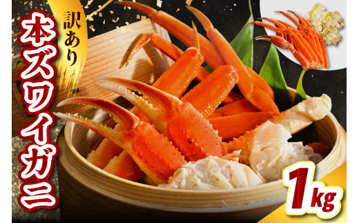 訳アリ本ズワイガニ（1kg）【er021-008】蟹 かに カニ脚 足 ボイル 茹で わけあり 規格外 不揃い 魚介 魚介類 海鮮 海の幸 海産物 冷凍 お取り寄せ 送料無料 北海道 えりも町