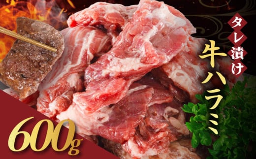 【訳あり】 タレ漬け 牛ハラミ 600g 300g×2P （ 肉 牛肉 牛 ハラミ 味付け タレ ハラミ肉 BBQ バーベキュー 焼き肉 焼肉 焼肉セット アウトドア キャンプ ギフト 真空 パック 小分け 300g 個包装 簡単 便利 冷凍 人気 京都 南丹市 神戸 ミートフーズ ）