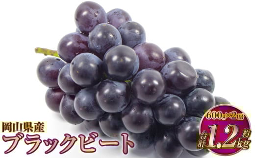岡山県産 ブラックビート 約1.2kg（約600g×2房）【2025年8月上旬～9月上旬発送予定】 ぶどう ブドウ 葡萄