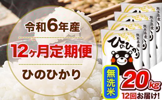 令和6年産 【12ヵ月定期便】 無洗米 ひのひかり 定期便 20kg 5kg×4袋《お申込み翌月から出荷開始》 熊本県産 精米 ひの 米 こめ ヒノヒカリ コメ お米 1582187 - 熊本県津奈木町