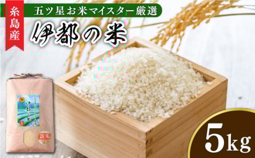 【令和6年産】伊都の米 5kg  糸島市 / 納富米穀店 [ARL001] 白米 お米 528342 - 福岡県糸島市