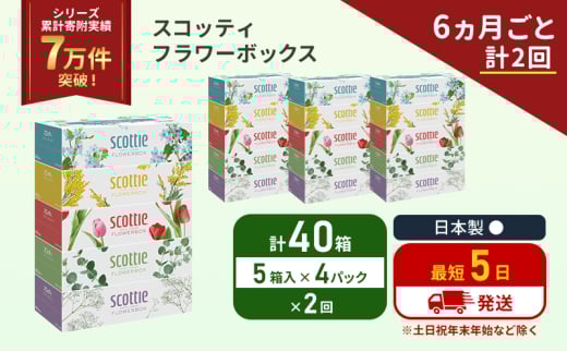定期便 ティッシュ スコッティ フラワーボックス 40箱 (5箱×4パック)《6ヶ月ごと計2 回》 ティッシュペーパー ティシューペーパーボックスティッシュ ボックスティシュー ティシュペーパー 防災 災害 日用品 生活用品 生活必需品 宮城県 岩沼市 [№5704-1128] 2134332 - 宮城県岩沼市