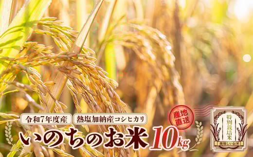 【先行予約】令和7年産雪蔵銀ぴか米 熱塩加納産 いのちのお米（コシヒカリ）10kg（令和7年10月24日以降発送）　【07208-0684】 2161861 - 福島県喜多方市