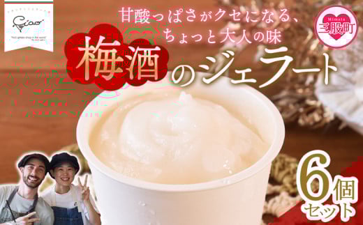 ＜梅酒のジェラート 6個セット＞ フレーバー お酒入り 3% 5% アルコール うめ スイーツ アイス ヘルシー おやつ 菓子 お菓子 洋菓子 デザート 氷菓 お楽しみ プレゼント ギフト 贈答用 酒 梅 大人の贅沢 シャーベット【MI616-ci】【Ciao Gelateria】 2133804 - 宮崎県三股町