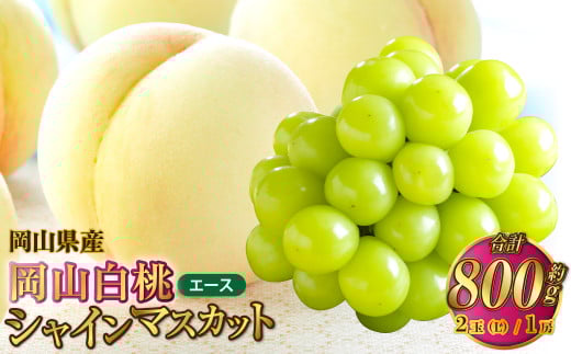 岡山県産 岡山白桃 エース Lサイズ 約200g×2玉・シャインマスカット 晴王 約400g×1房 詰合せ [2025年7月上旬〜8月下旬発送予定] 白桃 桃 もも モモ マスカット ぶどう 葡萄 ブドウ セット