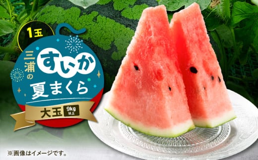 三浦のスイカ「夏まくら」(大玉) M080-005-01