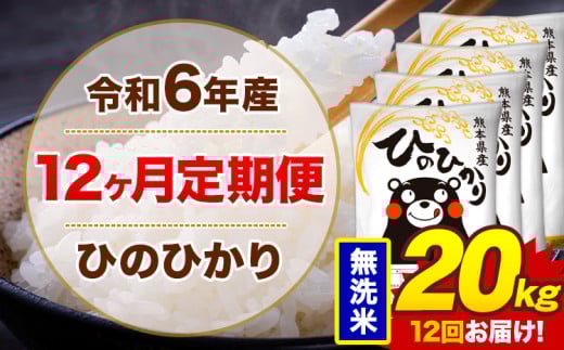 【12ヶ月定期便】令和6年産 無洗米 20kg 米 ひのひかり《お申込み月の翌月から出荷開始》熊本県 菊池市 国産 熊本県産 白米 精米 無洗米 送料無料 ヒノヒカリ こめ お米 