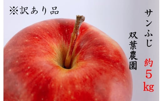 237 先行予約 ※訳あり品 りんご サンふじ 5kg【双葉農園】 568323 - 長野県辰野町
