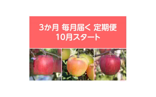 <発送月固定定期便>〈2025年10月より順次発送〉甘味系・青森県産りんご約5kg 全3回【4051694】 1404889 - 青森県黒石市