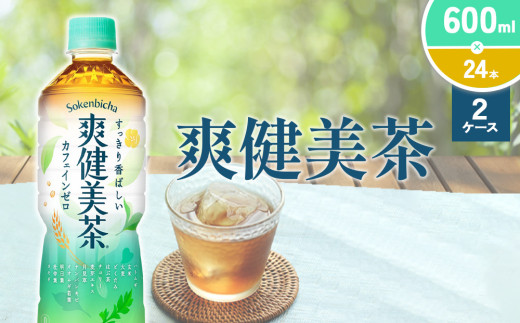 爽健美茶 600ml PET【コカ・コーラ】ペットボトル 2ケース(48本) セット お茶 カフェインゼロ ノンカフェイン ハトムギ ブレンド茶 宮崎県 えびの市 送料無料