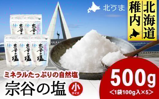 稚内ブランド認定品 宗谷の塩100g×5袋