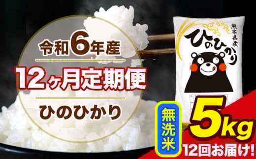 令和6年産 【12ヶ月定期便】 ひのひかり 無洗米 5kg 5kg×1袋 計12回お届け 熊本県産 こめ コメ 無洗米 精米 荒尾市 ひの 米 定期 《お申込み月の翌月から出荷開始》 1569993 - 熊本県荒尾市