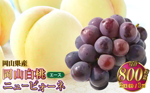 岡山県産 岡山白桃 エース Lサイズ 約200g×2玉・ニューピオーネ 約400g×1房 詰合せ 【2025年7月上旬～8月下旬発送予定】 白桃 桃 もも モモ ピオーネ ぶどう 葡萄 ブドウ セット