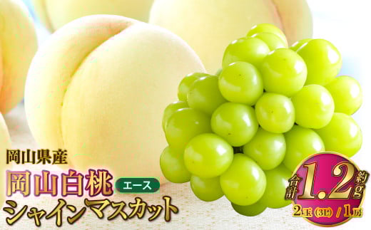 岡山県産 岡山白桃 エース 3Lサイズ 約300g×2玉・シャインマスカット 晴王 約600g×1房 詰合せ 【2025年7月上旬～8月下旬発送予定】 白桃 桃 もも モモ マスカット ぶどう 葡萄 ブドウ セット 2133583 - 岡山県奈義町